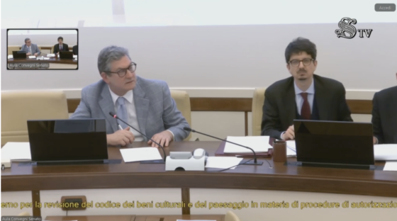 Audizione al Senato  sul ddl 1372